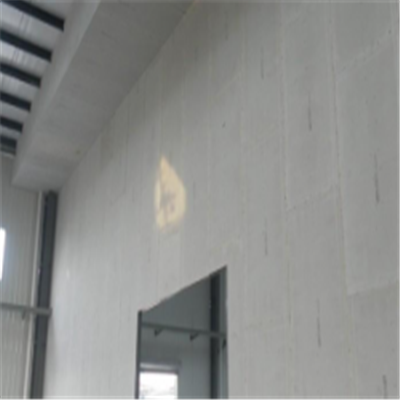 新化宁波ALC板|EPS加气板隔墙与混凝土整浇联接的实验研讨